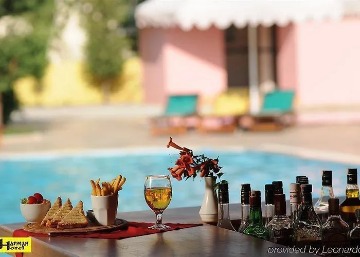 Отель Harman 3*