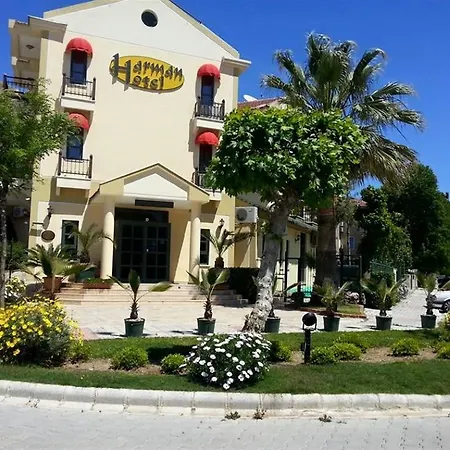 Harman 3*